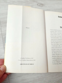 R. Třeštíková Bábovky - 4