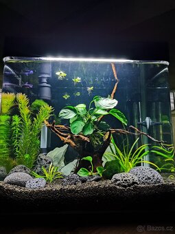 Akvárium 30l - 4