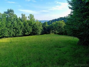 Pozemek Dolní Paseky Rožnov pod Radhoštěm 2926m2 - 4