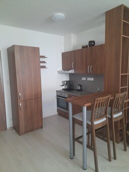 Pronájem bytu 1+kk (36m2) - 4