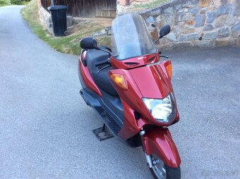 Honda fes 250 - 4