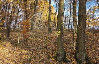 Pozemek Horní Libchava - 4