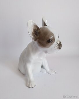 Porcelánová figura francouzského buldočka - Rosenthal - 4