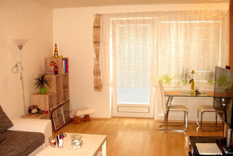 Pronájem novostavby 1+ 1 U Leskavy, Brno. 43 m2, 4.p. - 4