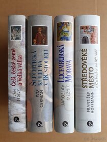 Dülmen, Burke, Sked, Kořalka, Hoffmann, Bůžek - 4