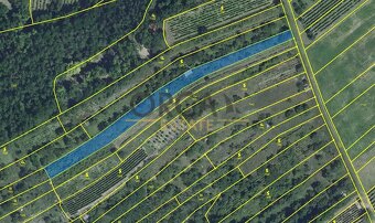 Prodej vinice v k. ú. Velké Němčice - 4