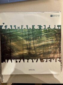 LP desky Karel Gott a další - 4