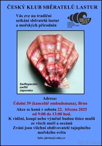 Pexeso s ulity exotických, suchozemských plžů, NOVÉ - 4