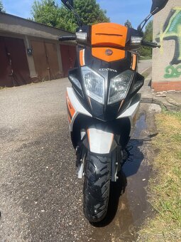 Kentoya asphyx 125cmm - 4