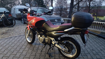 Suzuki XF650 Freewind - 4