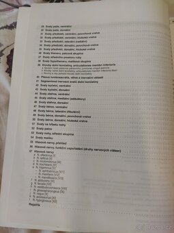 Sobottův atlas anatomie člověka - tabulky svalů, kloubů a ne - 4
