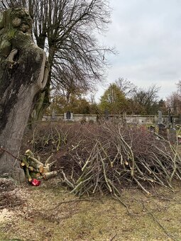 Rizikové kácen,ošetřování stromu a realizace zahrad - 4