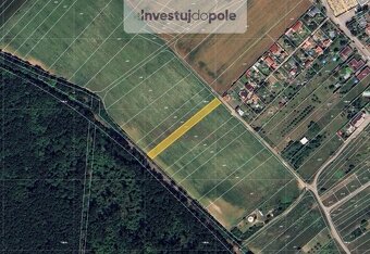 Prodej pole v k.ú. Charvátská Nová Ves - 4