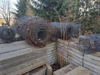 Oplocenkové pleťivo - 4