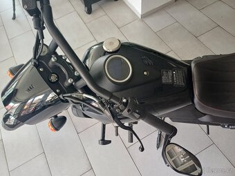 UM Renegade 300 Freedom - 4
