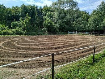 Nabídka ustájení 24/7 - 4