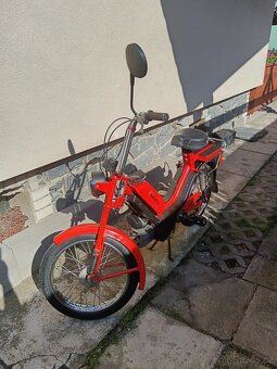 Babetta - 4