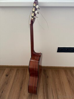 Kytara Amada - 4