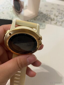 Garmix Fenix 3 (rose gold) - 4