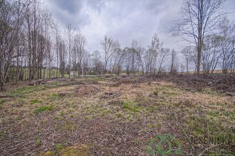 Prodej pozemku v obci Terezín u Mikulovic - 4