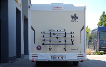 Ahorn Canada AE - 4
