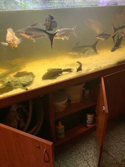 Velké akvárium s filtrací a skřínkami - 4