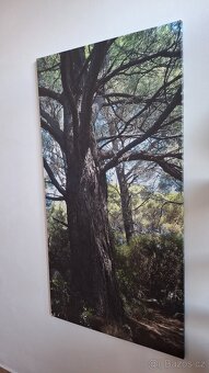 Velký obraz 150x80 - 4