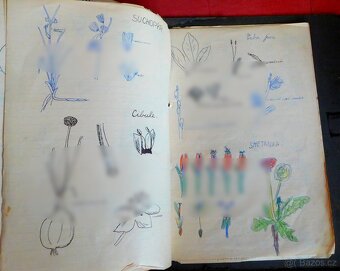 Libor Vojkůvka-malířův školní sešit biologie ze 6. A (1959) - 4