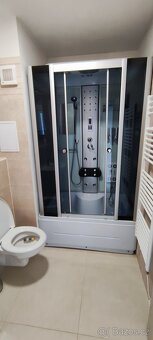 Pronájem bytu 1+1 se dvěmi lodžiemi, 50m2 - 4