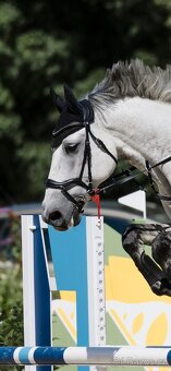 Anatomická uzdečka Waldhausen - 4