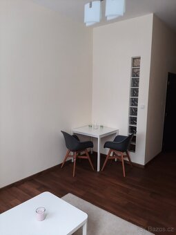 1+kk Sázava byt k pronájmu - 4