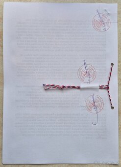 OBRAZY - VYHOTOVIM ZNALECKÉ POSUDKY - 4