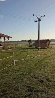 Pastevní ustájení - 4