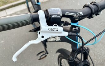 LEADER FOX STATE LADY - 4