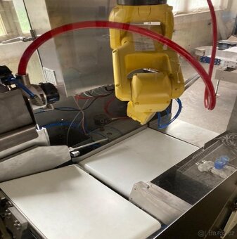 Ukladač balíčků do kartonů KRAPCO CASEPA 150(8453) - 4