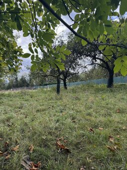 Prodám zahradu a přilehlé pozemky v k.ú. Velké Svatoňovice - 4