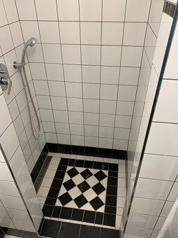 Pronájem obchodního prostoru s možným bydlením - 4
