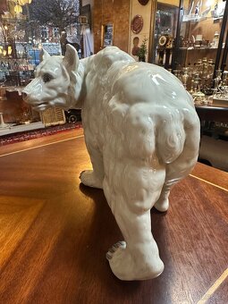 Lední medvěd Haas & Czjzek 1932 - 4