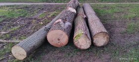 Lipové dřevo - 4