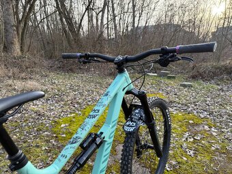 Canyon Torque Mullet AL 5 - 4
