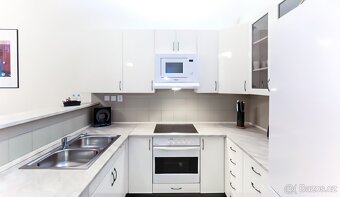 Pronájem, Byty 3+kk, 95m2, Praha 2 - Vinohrady, ev.č. V3556 - 4
