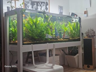 Plně vybavené obří akvárium 800L - 4