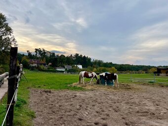 Stavební pozemek na Novém Hradci – klid, příroda a výhledy - 4