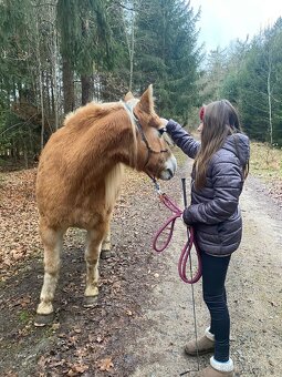 Hafling pro začátečníka - 4