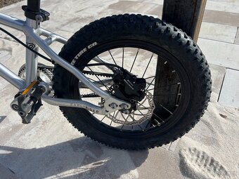 Early Rider SeekerX 16" - 4