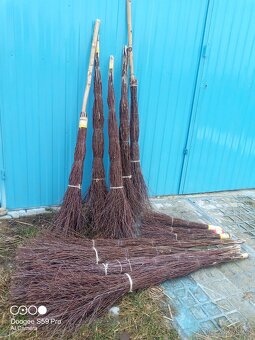 BŘEZOVÁ KOŠŤATA - 4