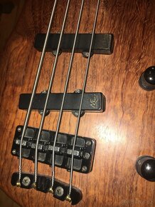 Warwick thumb bass - 4