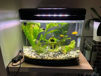 Akvarium Invital EasyTank LED 50 litrů - 4