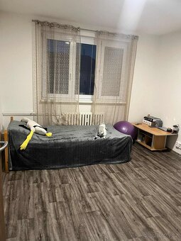 Pronajem bytu 3+1 Hodonín - 4