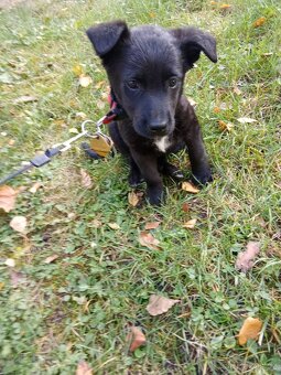 Z důvodu cestování - 4